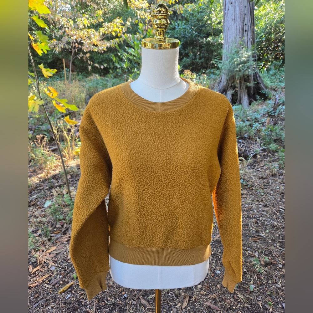Everlane Warm‎ Honey Crew Neck Fall Sweater